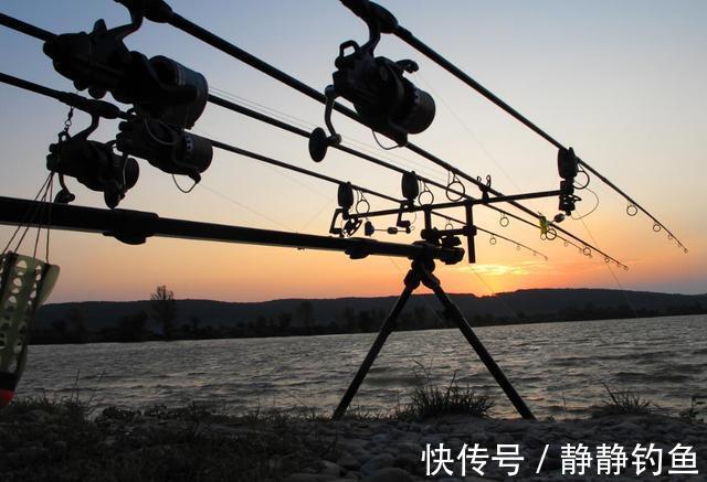 手竿|冬钓板鲫,手竿难觅其踪,庆幸我有这个狠招,大板鲫一钓一个准