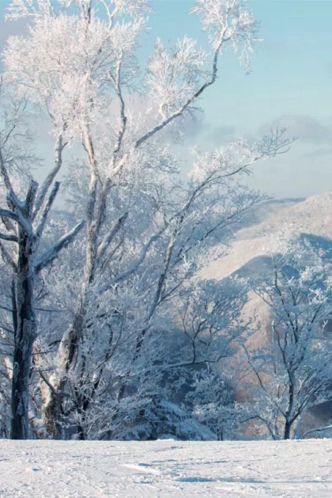 雪板|12月，在雪板上对2020说再见