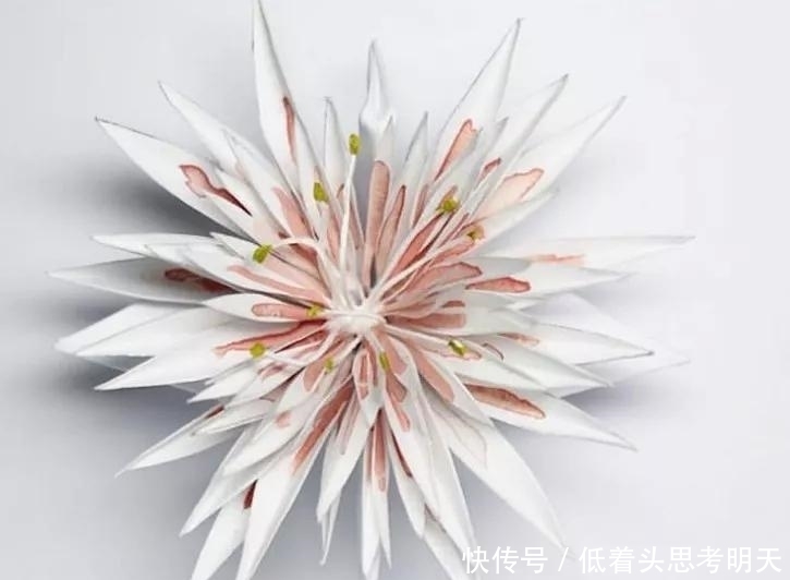 重样|每天折一只千纸鹤,他坚持了1000天不重样,女友被感动到梨花带雨