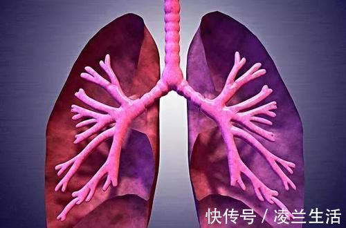 穴位|5大穴位扶阳正气,再顽固的鼻炎,这样简单调理也很快痊愈了!