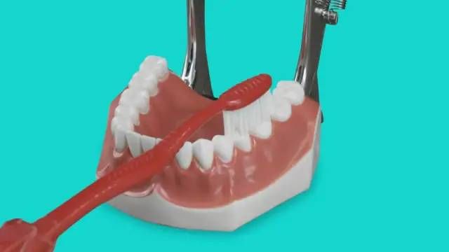 刷牙|5岁男孩突发急性肾炎，病根竟然是在口腔里