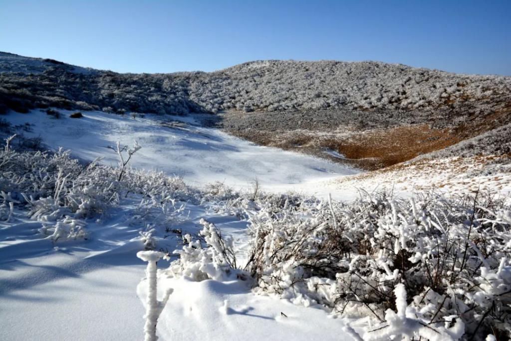 县区|初雪！周边县区雪景美图来袭！