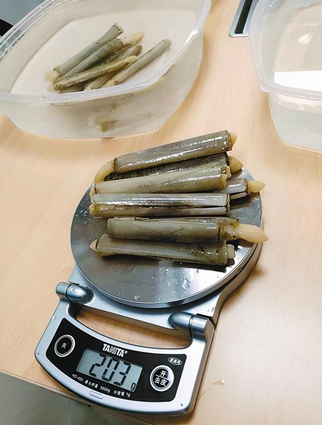商家|这3种海鲜,内行人碰到扭头就走,没营养还贵,商家自己从不吃