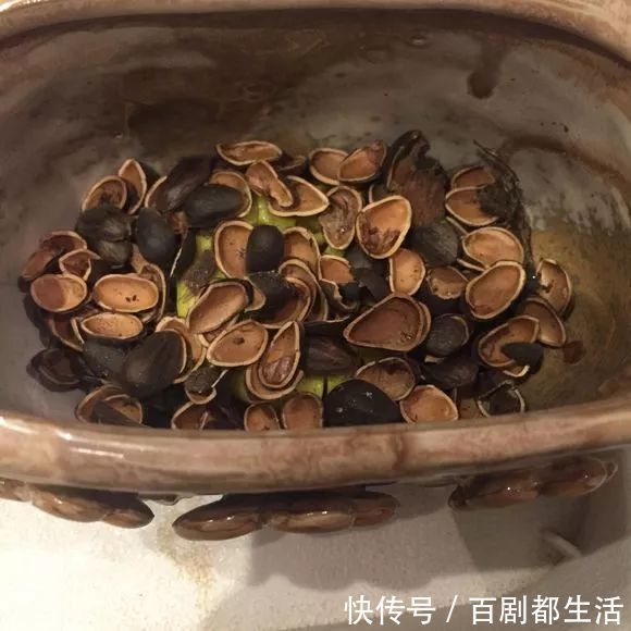 养花必备“排水物”,解决养花人的大难题!