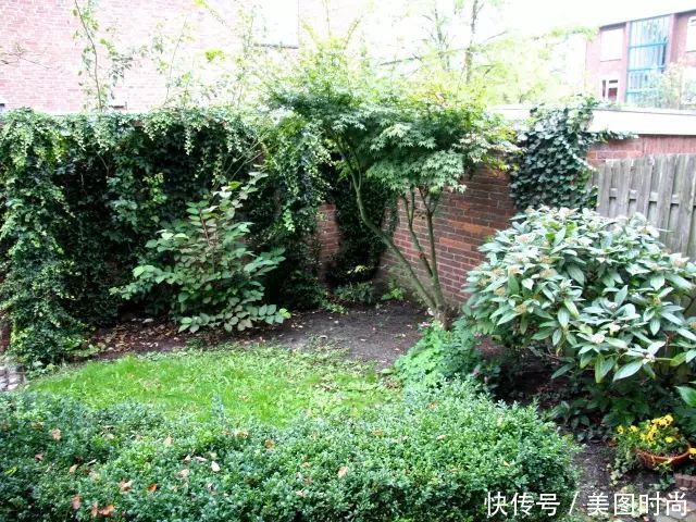 改造带来大惊喜，见证一个50㎡花园的蜕变，从一片荒凉到清新浪漫