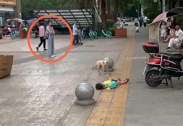 小情绪|“倔强母子”火了,大街上间隔三米僵持许久,网友:谁也不服谁