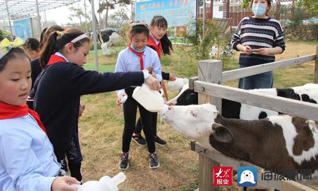 新闻记者&弘扬传承优秀文化 体验亲近美好自然——泰山大安小学积极开展学生劳动实践教育