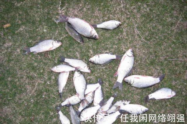 没有鱼口就不要死守，用这几个招数，找到鱼口并不算难