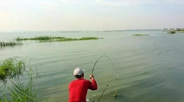 蚯蚓钓鱼不能乱用,教你正确的方法,让你轻松获鱼,实用