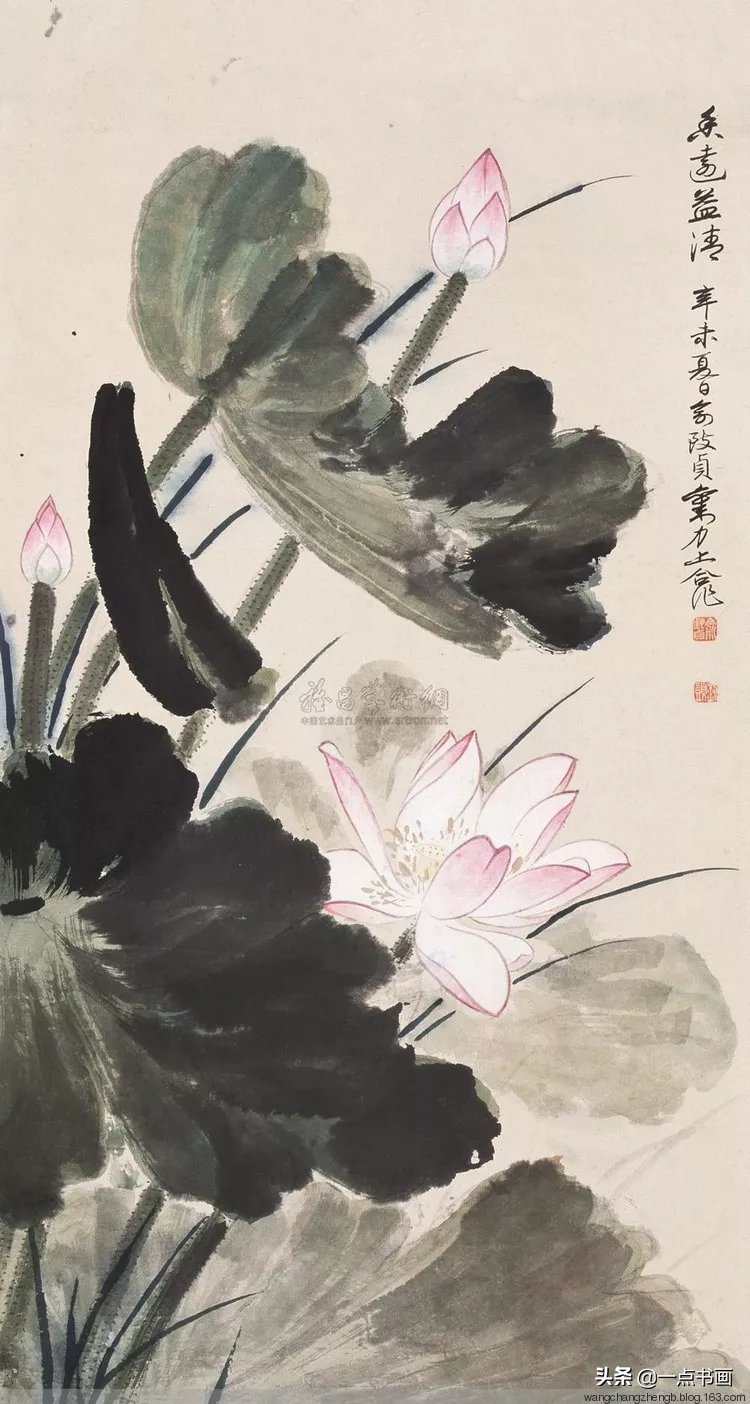 芙蓉#俞致贞 画荷，芙蓉出水，风情无限