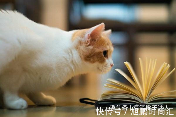 |幽默笑话:丈母娘从国家电网退休之后,去大润发当保洁员