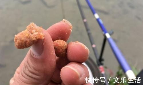 饵料|钓鲫鱼从不空手的8个配方，随便挑一样都好使