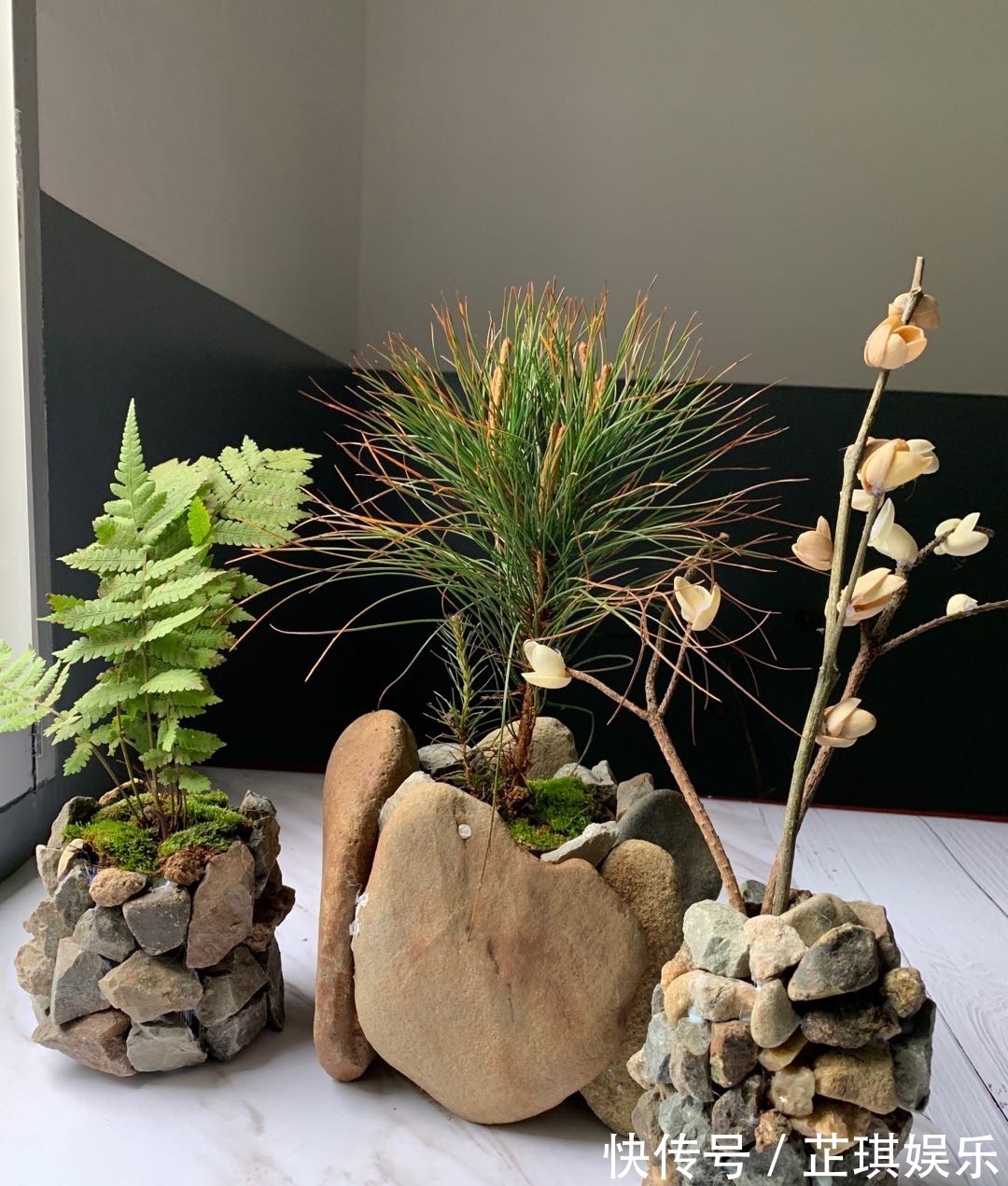 石头野草捡回家,胶水一粘变盆栽,比买的还好看!