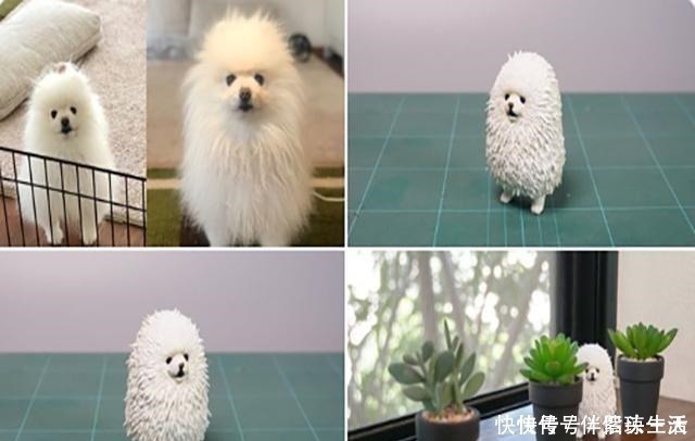 iss给女友照相错位闹笑话,手办师将鸵鸟少女做成手办,女友爱不释手