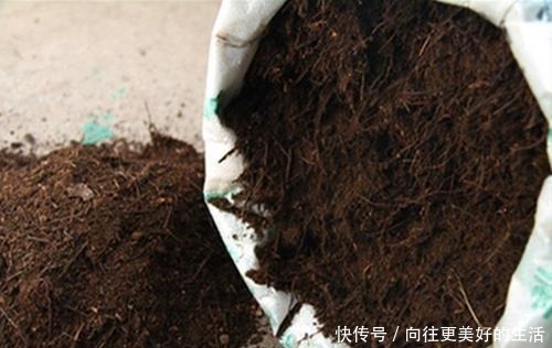 腐叶土在家14天就能做好,自己发酵用不完!