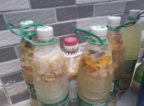 日常养花该准备什么肥？自制这3样就不错，肥效温和、材料易得