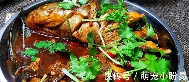 啤酒烧鱼|啤酒炖草鱼,妈妈教的家常做法,真是一道很不错的下酒下饭菜