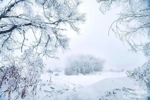 童话|冰天雪地，童话吉林