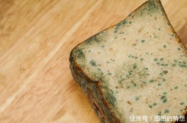 家里几处地方,是黄曲霉素的“温床”,为健康着想,尽快处理