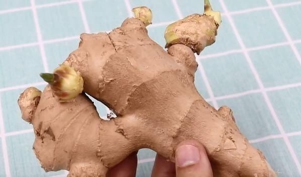 买生姜时，2种生姜不要买，白送都不能要，快告诉家里人