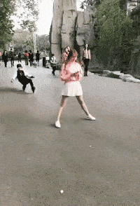 |搞笑GIF:狗子:会不会开呀,还是让我来吧!