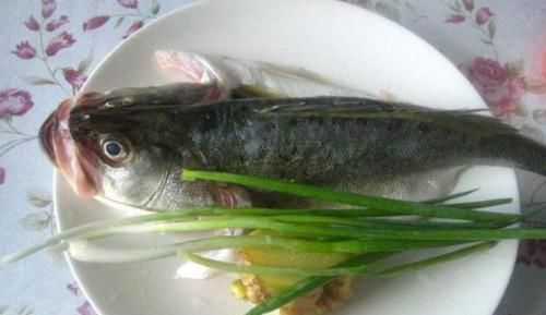 怀孕期间|孕期多吃这6种食物,不仅可以安胎,还有利于胎儿的发育和生长