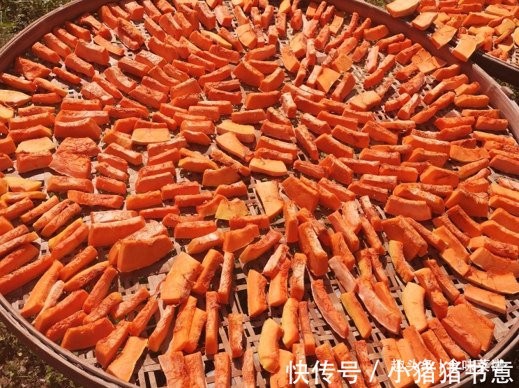 趁着阳光充足，此9种蔬菜可以多晒一些，留着冬天吃，炖肉特别香