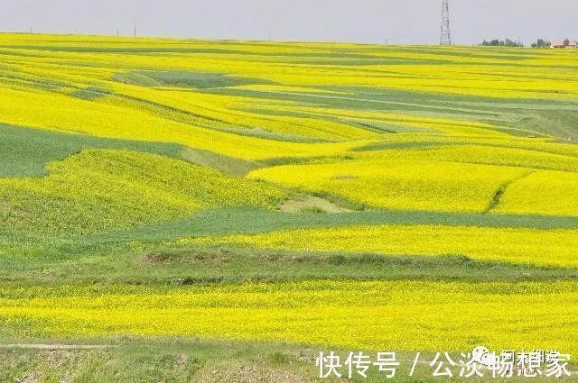 出纳官|恭喜，飞来一笔大横财，4生肖天上掉财、地上生金，喜从千里来