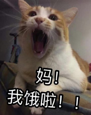 条约|“不要喊妈！”她和7岁儿子签下的这份条约火了