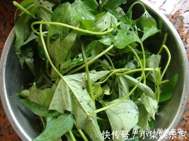 老乡|七块钱一斤的红薯叶子,加上大蒜炒一盆招待老乡,却被断交了