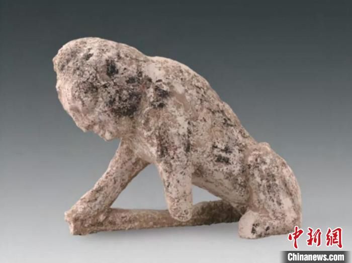 墓俑|山西大同北魏“太和元年”贾宝墓首次发现木质武士俑、镇墓兽