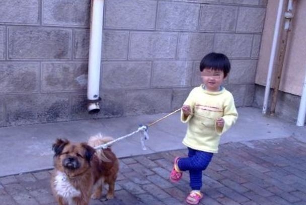 合脚|给娃买鞋子要买大一号?那些家长误以为的好处,其实是在坑娃