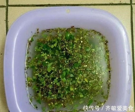 水杨酸|生根剂不用买,用家家都有的“小东西”,2分钟就能制出来