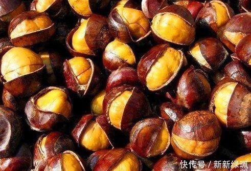 原来板栗壳难剥是用错水，学会这个方法，去皮干净不伤手