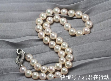 珠母贝 珍珠作为有机宝石,那么你知道该如何分辨海水珍珠和淡水珍珠吗!