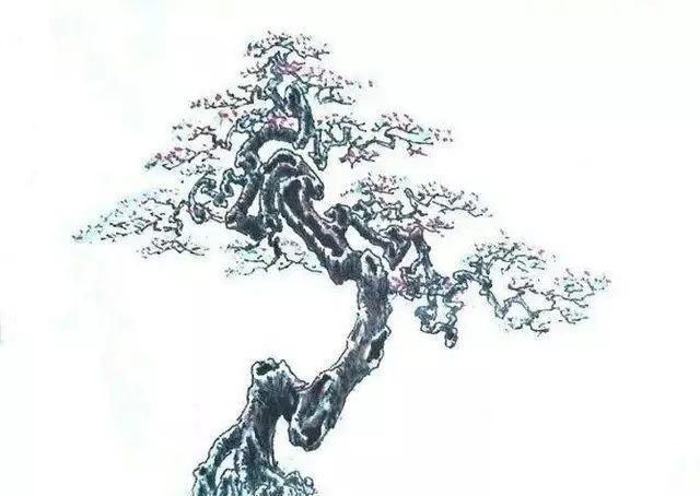 韵味|值得收藏的盆景设计图,别有韵味