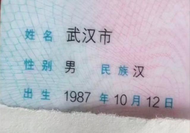 取名|爸爸叫“武汉市”,给儿起名叫“武昌”,网友:孙子名字给想好了