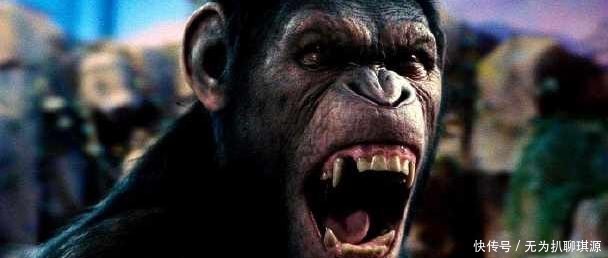 高手|何人胆敢囚禁“天榜”上的高手——海外野叟王猿