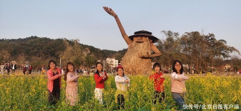 樱花|春在枝头已三分，多图养眼