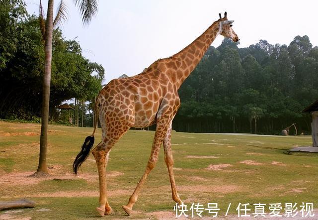 yeezy 这10款奇葩设计的高跟鞋，你见过其中哪个？