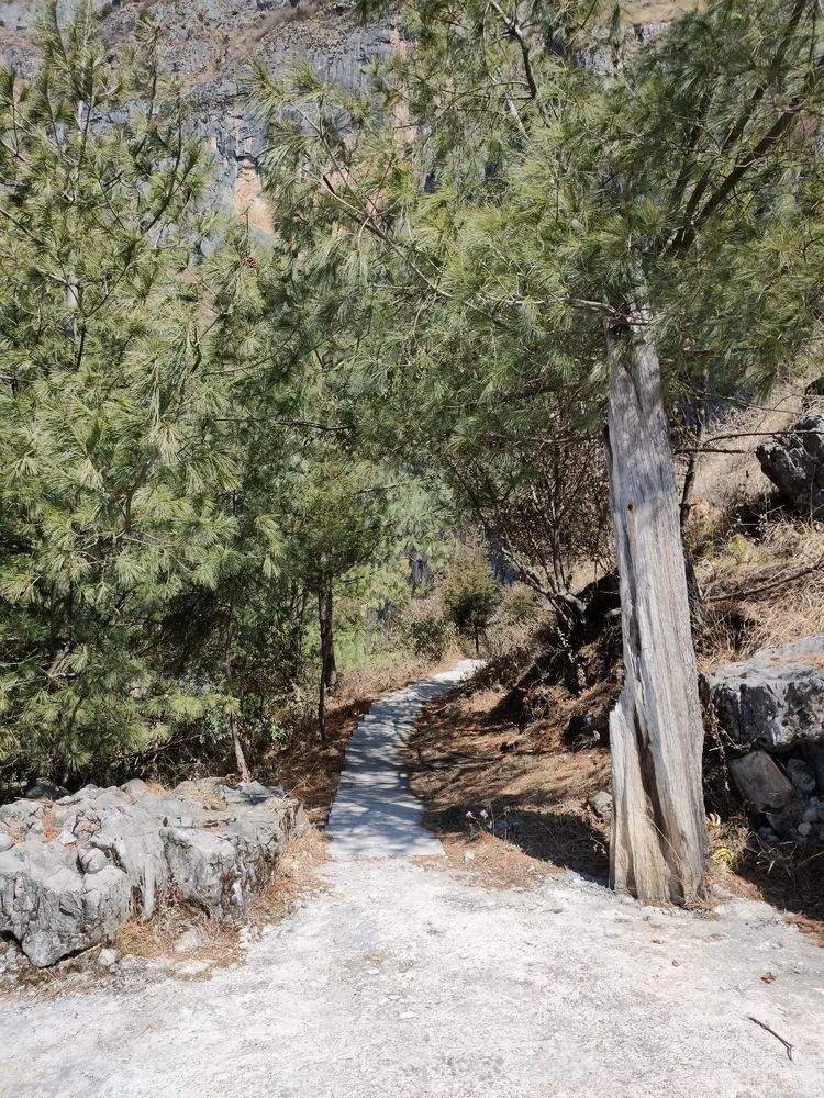 指南村|登顶东川小牯牛山——慈悲殿