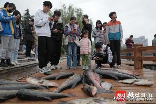 又是别人家的学校！捕万斤鱼，做全鱼宴犒劳全校师生