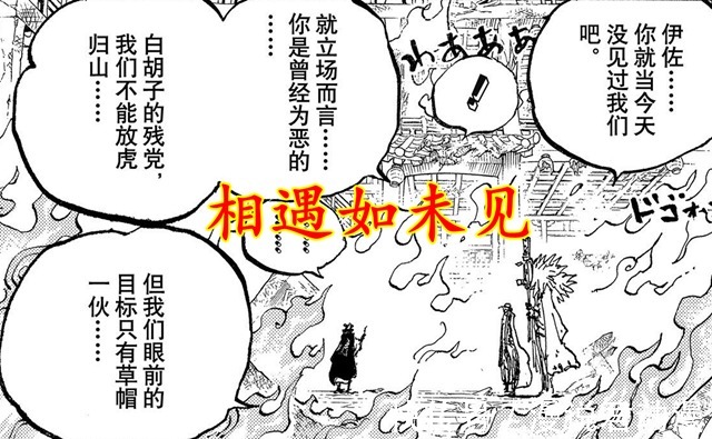 阿普|海贼王1038:CP0为何如此忌惮以藏?白团的队长真这么强吗