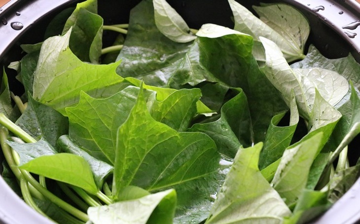 正当季|红薯叶煮鸡蛋，作用实在是太厉害了，省钱又实用，很多人都不晓得