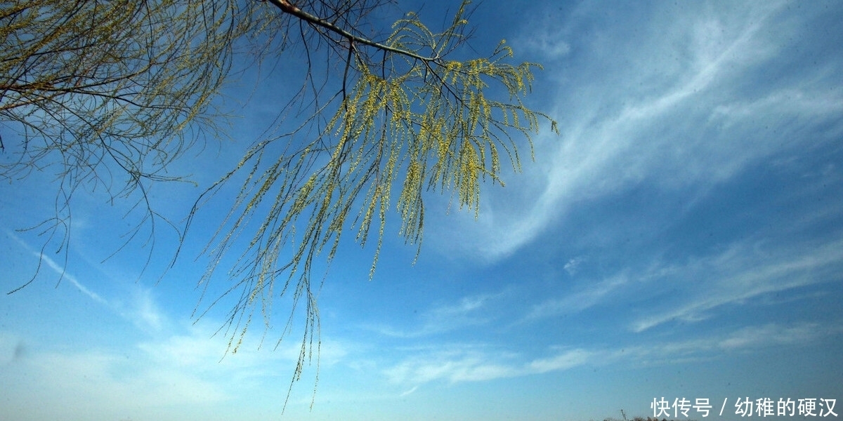 唯有春风最相惜，一年一度一归来。读古诗词，沐浴日暖风和