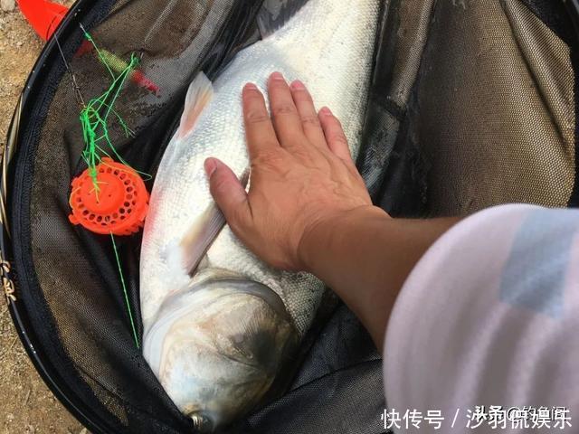 垂钓最爽的5个时刻,正常人难以理解,钓鱼人直呼过瘾