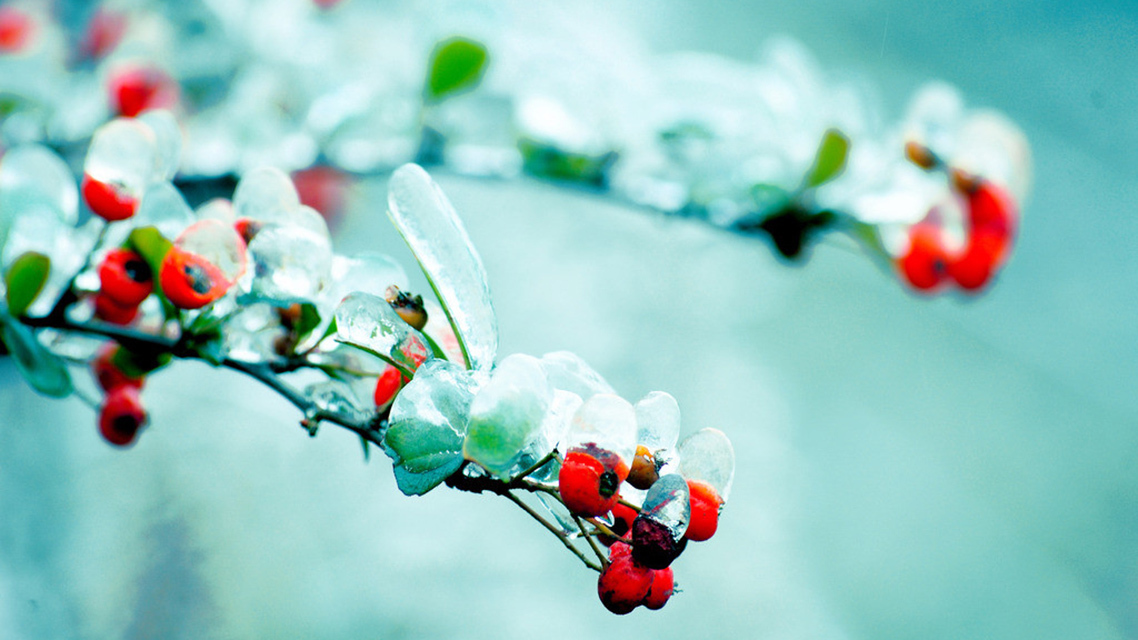 陆聿@陆游富于哲理的一首诗,最后两句人尽皆知,却不知前两句也很重要