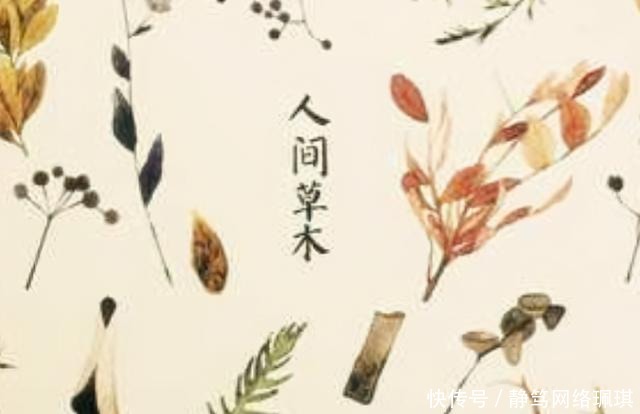 汪曾祺《人间草木》:世间风物各有可爱之处