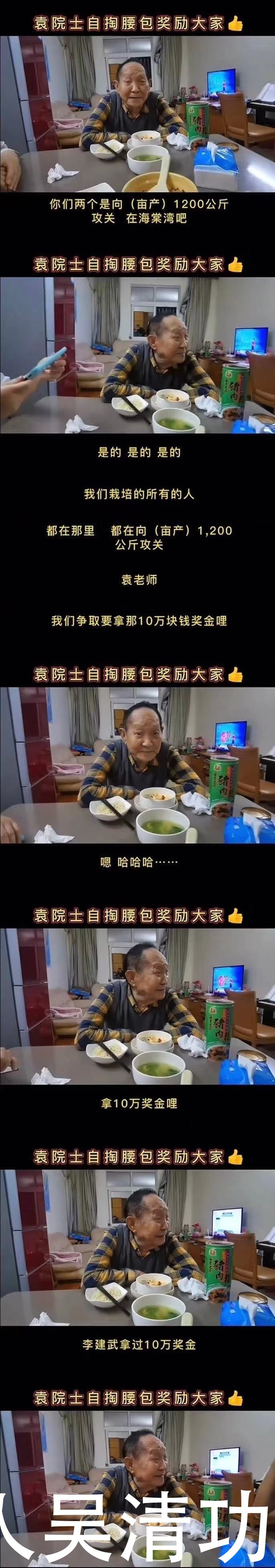 快乐大本营|大台担当！湖南卫视再次调整节目编排，播出致敬袁隆平的节目