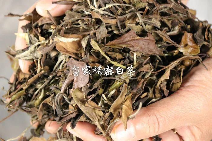 浑身|白茶浑身是“宝”，难怪越来越多的茶友开始喝白茶！